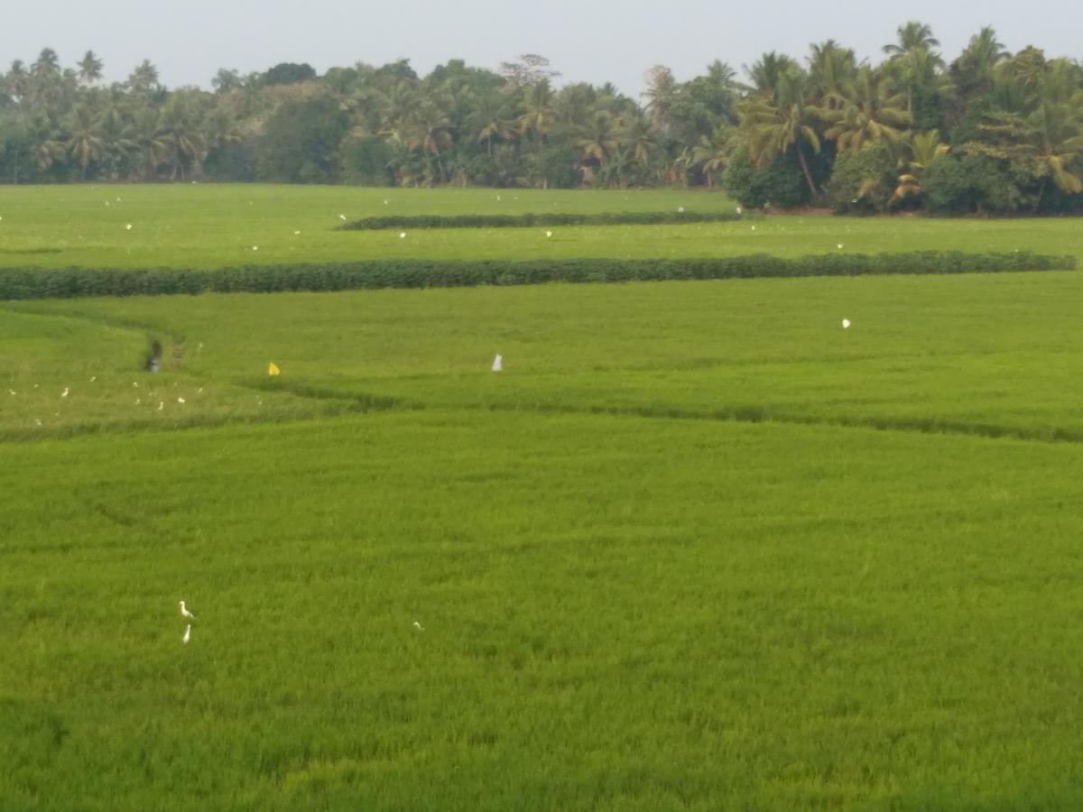 Beach Paradise Alappuzha Exterior foto